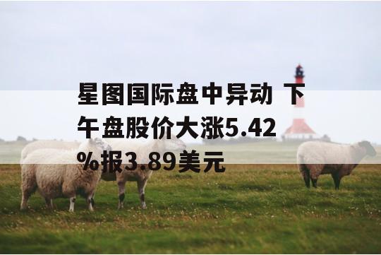 星图国际盘中异动 下午盘股价大涨5.42%报3.89美元